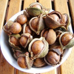 Despre nuca de macadamia